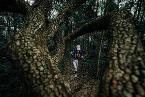 BIB: 
                            <button type="button" onclick="openModal(25692333)" class="btn btn-primary btn-sm float-right btn-popup" data-toggle="modal" data-target=".modal-high-quality">
                        <i class="fas fa-shopping-cart"></i> Add to Cart
                    </button>
                                            <button type="button" onclick="isThisMe(25692333, true)" class="btn btn-success btn-sm float-right btn-popup btn-isme hidden" data-toggle="tooltip" data-placement="bottom" title="นี่คือรูปของคุณใช่ไหม คลิกที่นี่เพื่อเอาเข้าอัลบั้ม">
                        <i class="fas fa-plus"></i> Add to album
                    </button>
                    <button type="button" onclick="isThisMe(25692333, false)" class="btn btn-warning btn-sm float-right btn-popup btn-isnotme hidden">
                        <i class="fas fa-ban"></i> Remove from album
                    </button>